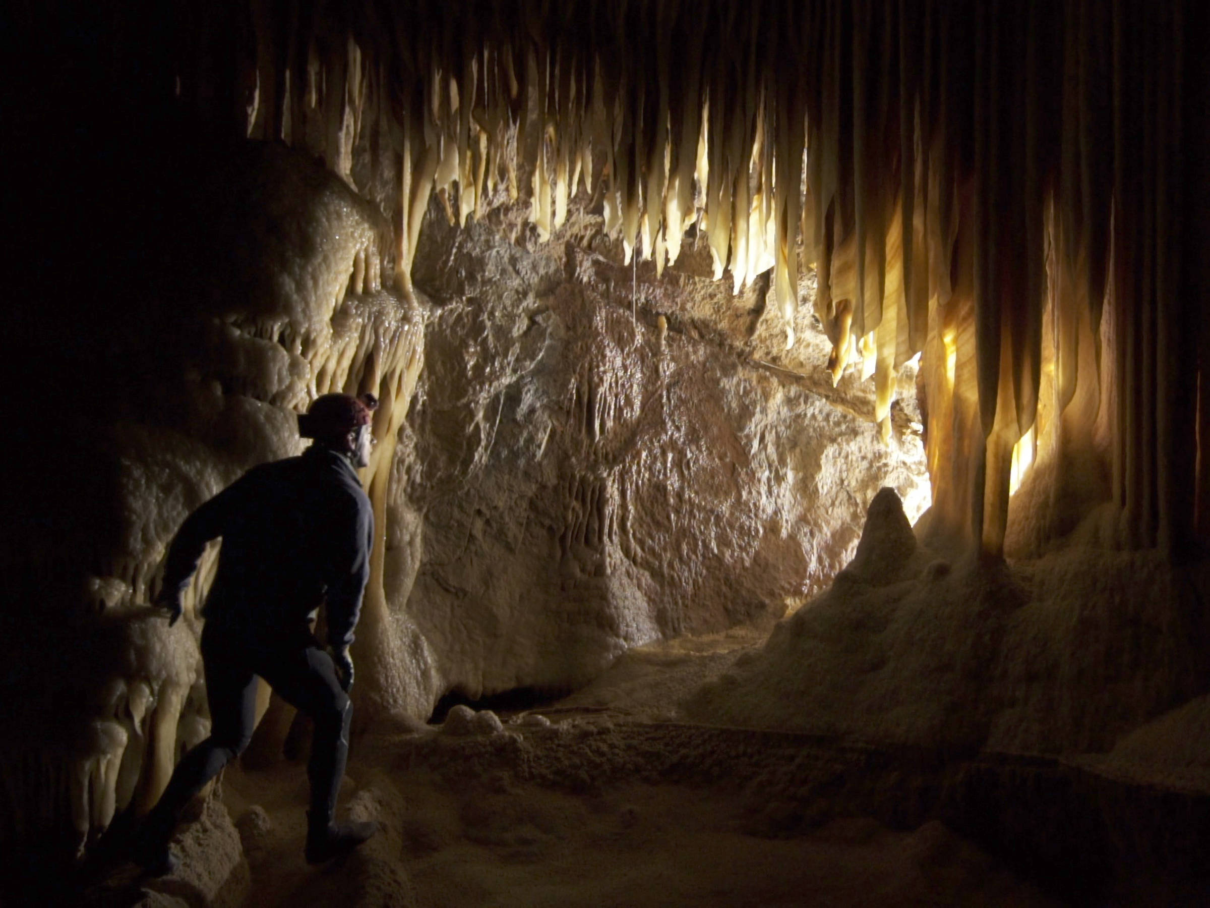 The mouth to a Tasmanian cave. The photo is taken from within the cave looking back toward the opening. The opening cannot be seen but there is daylight shining in highlighting the many stalactites hanging from the ceiling. The stalactites are glowing like crystals, To the left of the frame is Bookend Trust Cinematographer and editor, Justin Smith. Justin stands only two-thirds the thigh of the cave. He is mostly silhouette. Photo: Joe Shemesh.
