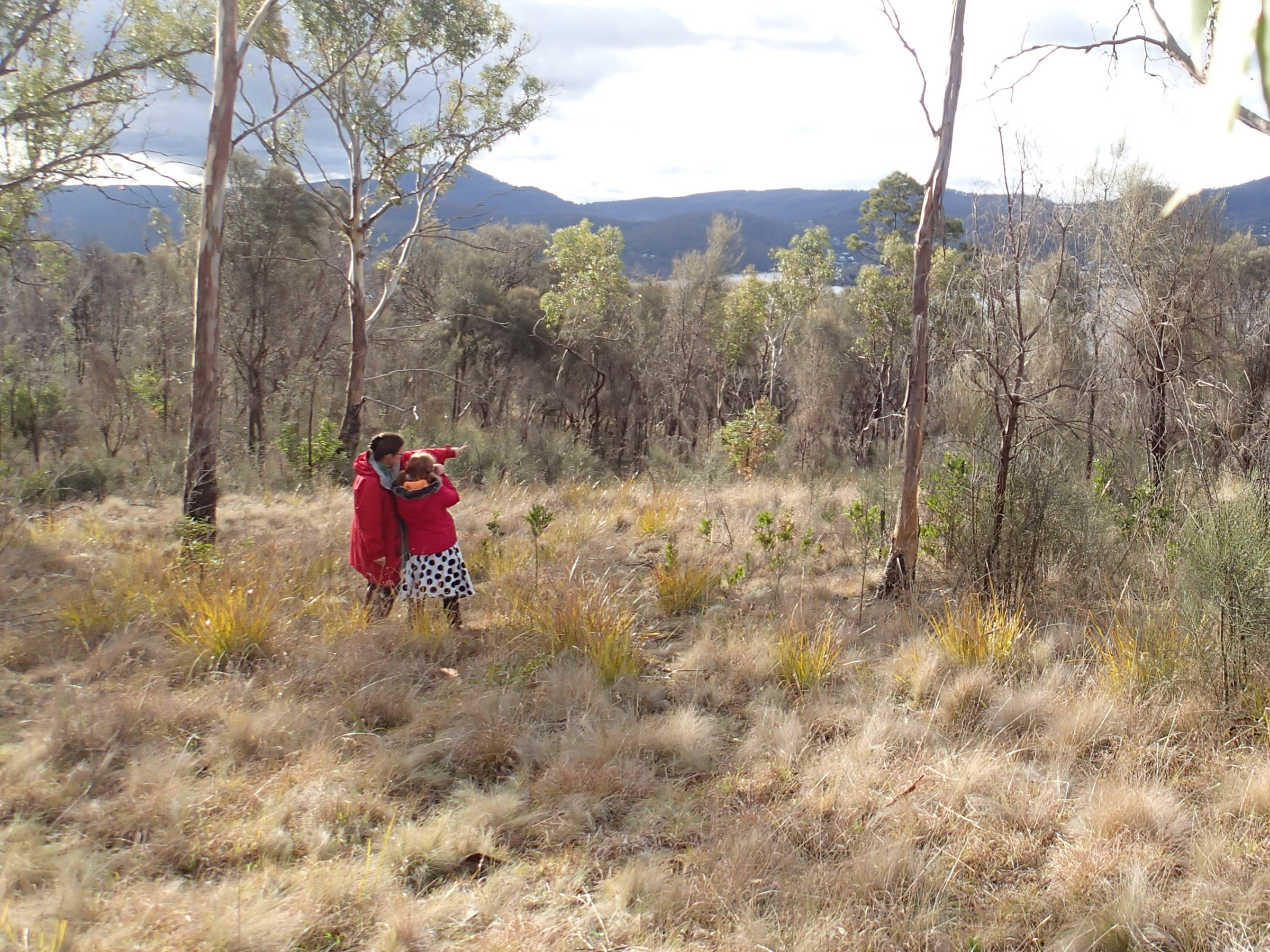 A mid distance photo of an adult and an older child, standing in a bush clearing at the Hobart Domain as part of the 2016 Extinction Matters BioBlitz, on a fine day. They are both wearing red puffer jackets. They are looking away from the camera. The adult is pointing at something in the distance. The child is looking through binoculars.