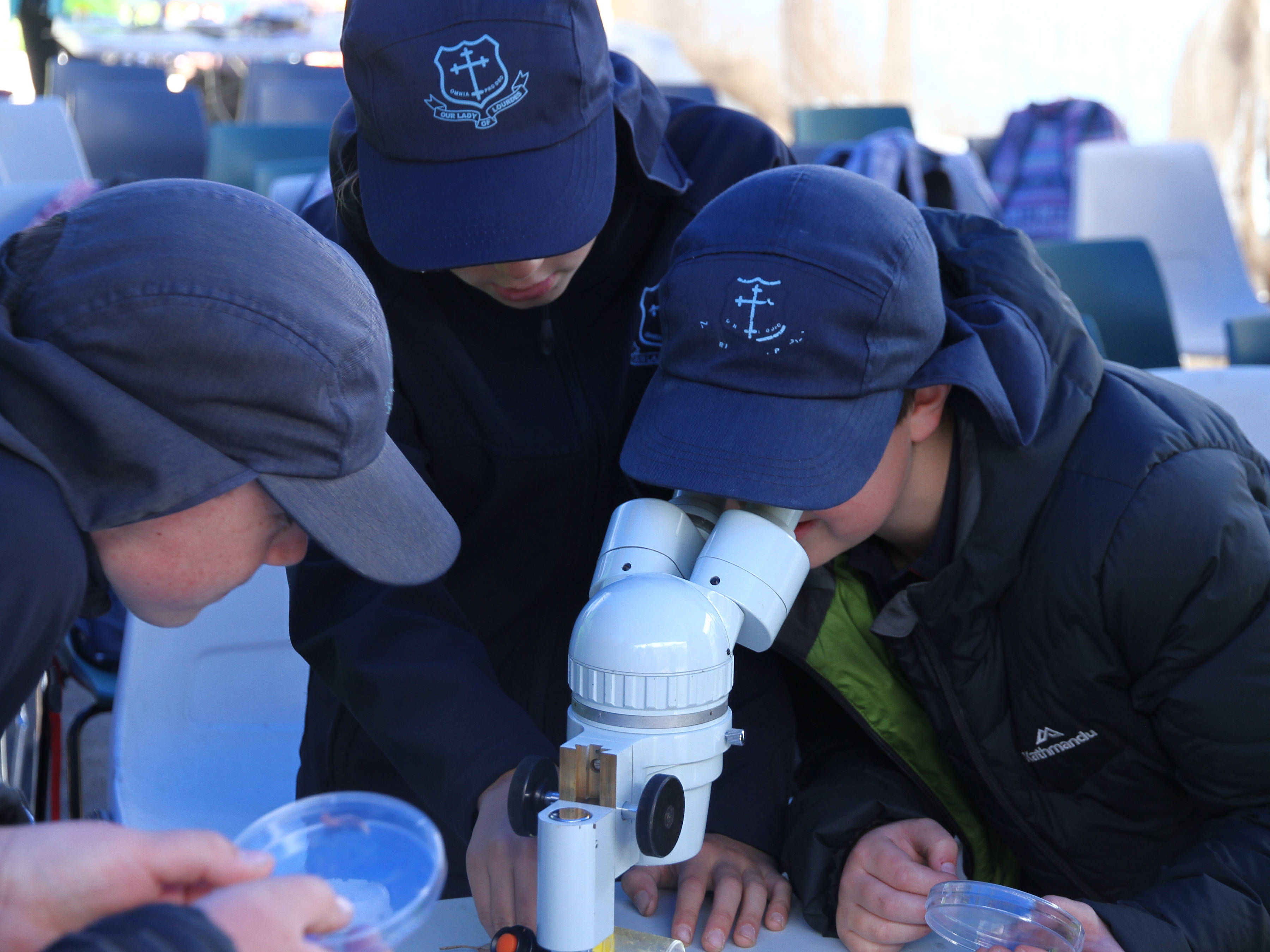 Three school students in blue school uniforms participating in an outdoor discovery session for Exhibition Class. One is looking into a microscope and one is holding a petri dish. The third is looking on with interest.
